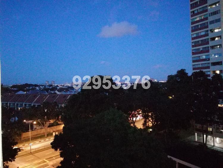 Neptune Court (D15), Apartment #141534352